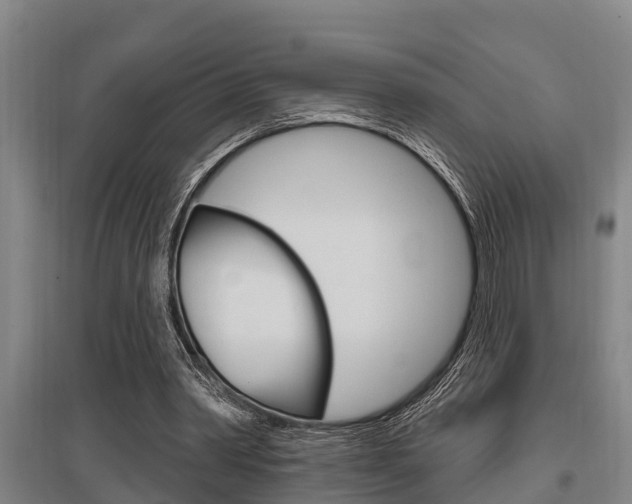 X0000095960390200801110951