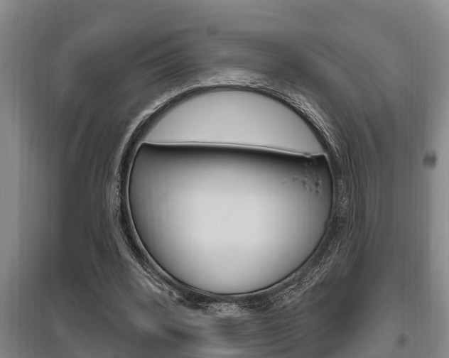 X0000095960392200801110951
