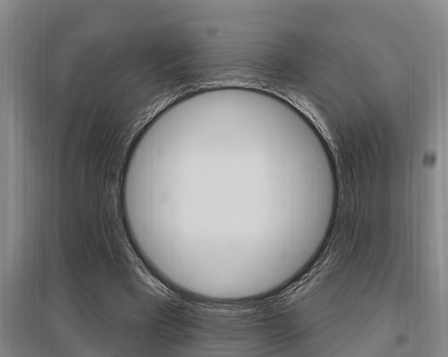 X0000095960393200801110951