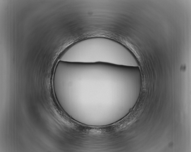 X0000095960394200801110951