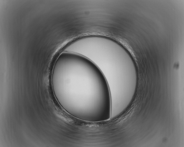 X0000095960395200801110951