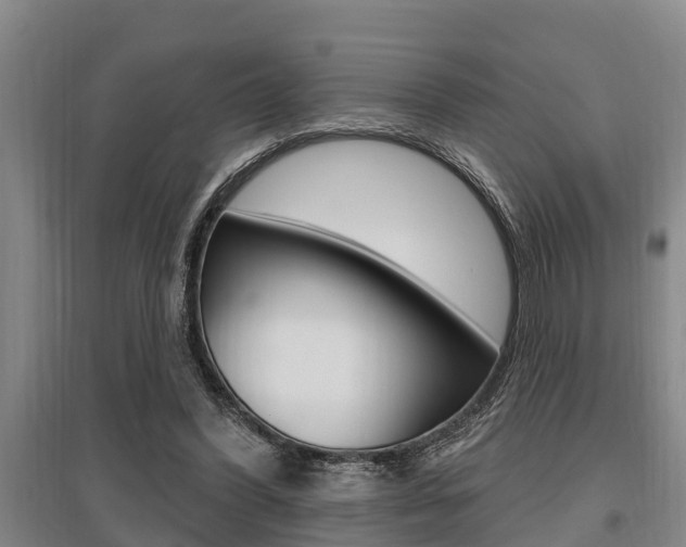 X0000095960396200801110951