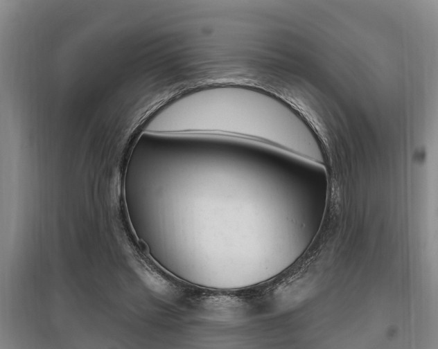 X0000095960397200801110951