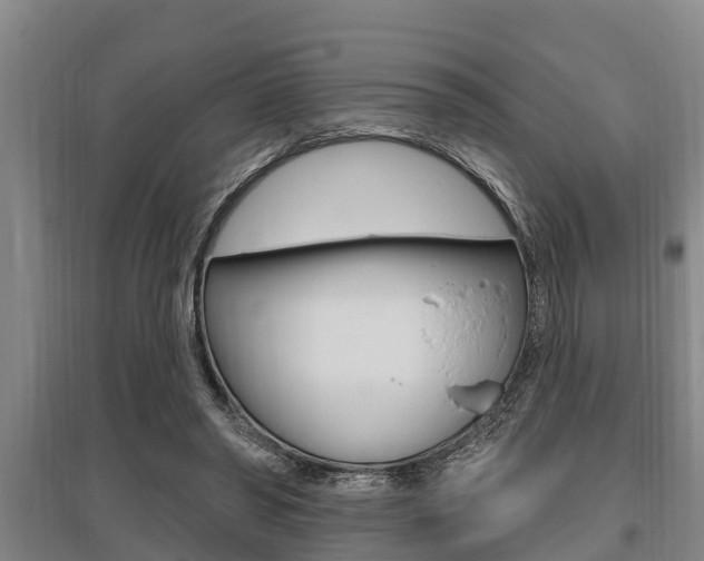 X0000095960398200801110951