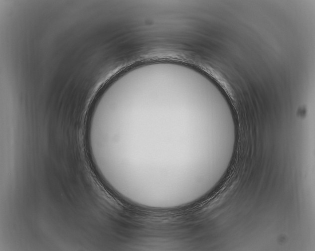 X0000095960399200801110950