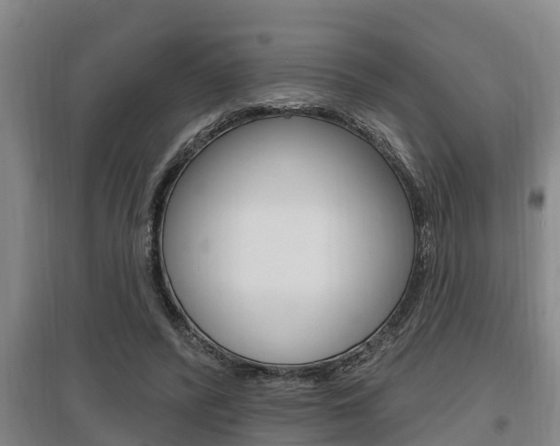X0000095960400200801110950