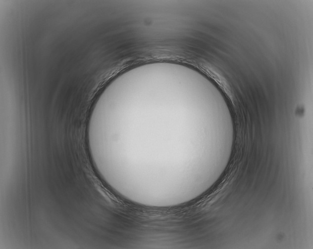 X0000095960401200801110950