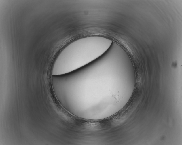 X0000095960402200801110950