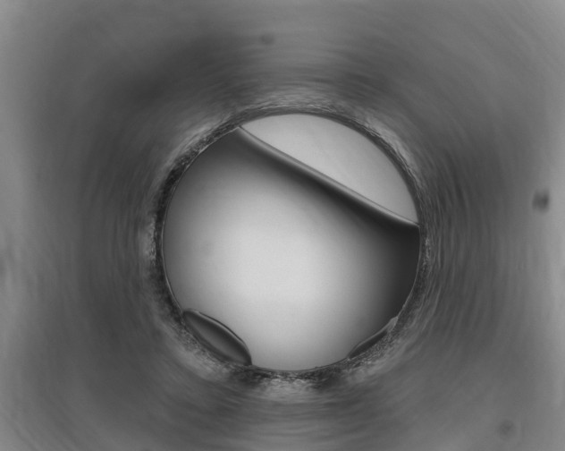 X0000095960403200801110950