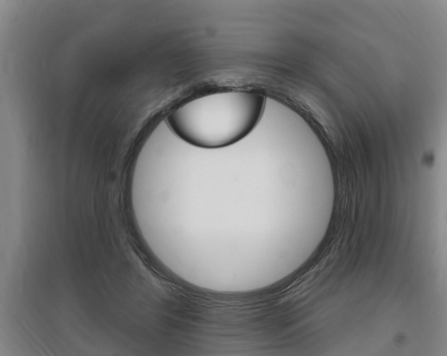 X0000095960404200801110950