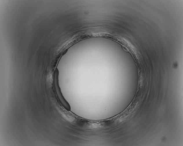 X0000095960405200801110950
