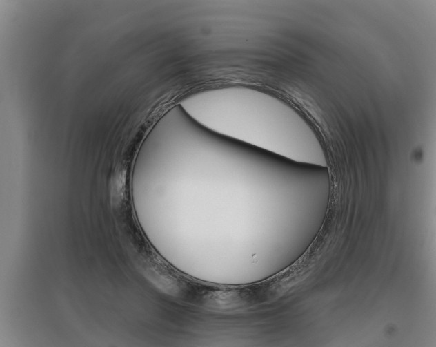 X0000095960406200801110950