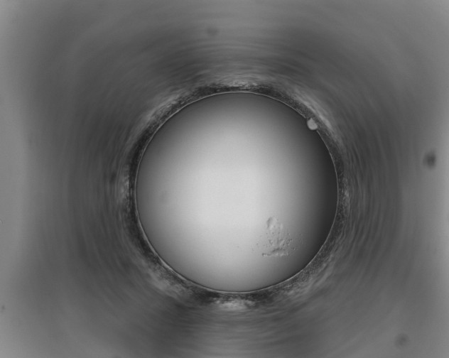 X0000095960407200801110950