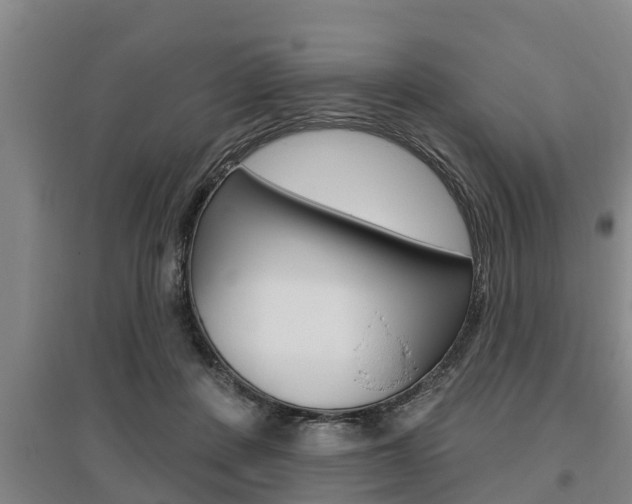 X0000095960408200801110950