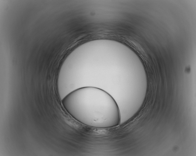 X0000095960409200801110950