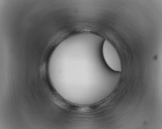X0000095960410200801110950