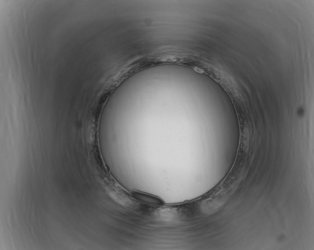X0000095960413200801110950