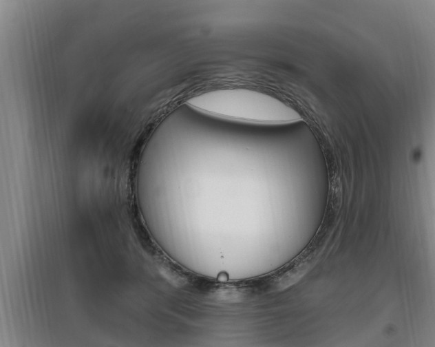 X0000095960416200801110950