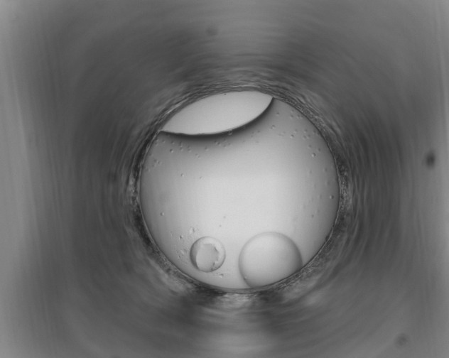 X0000095960418200801110950