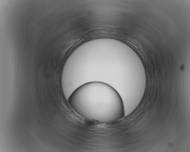 X0000095960423200801110950