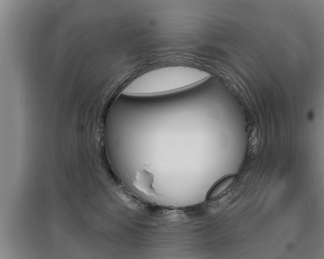 X0000095960424200801110950