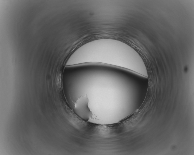 X0000095960425200801110950