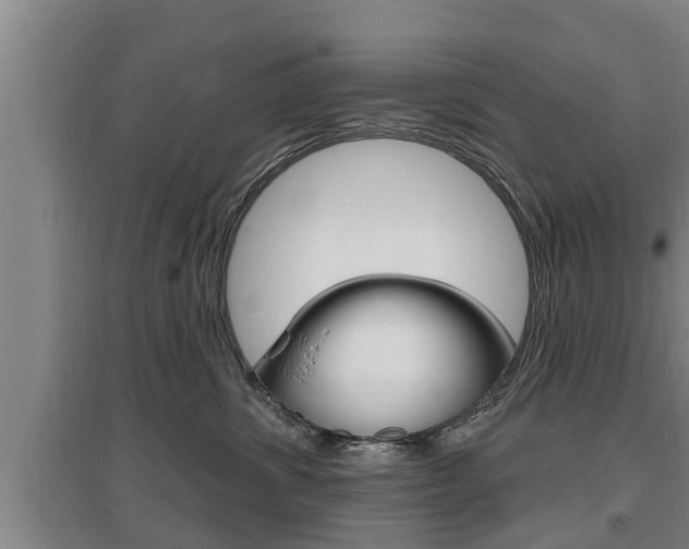 X0000095960428200801110950