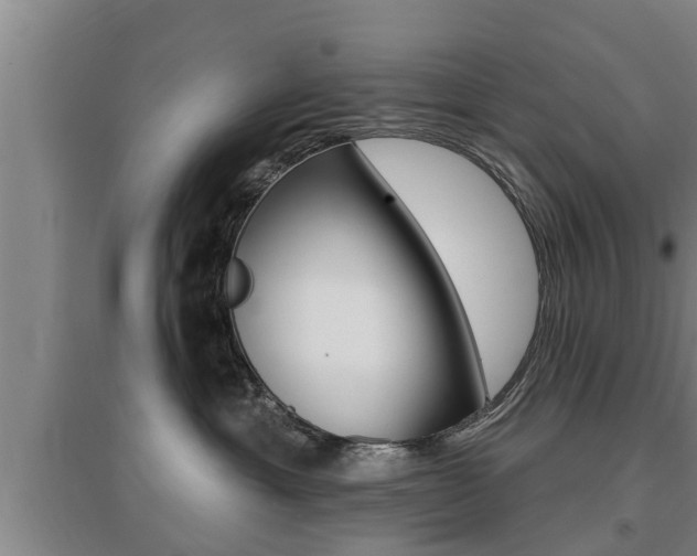 X0000095960429200801110950