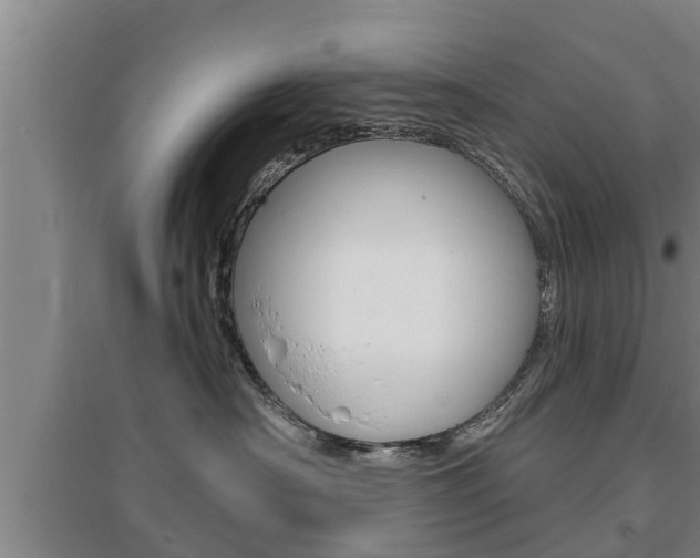 X0000095960430200801110950