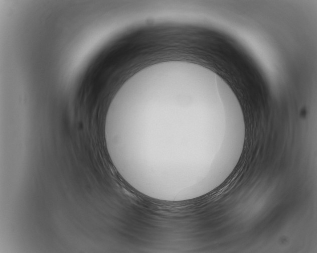 X0000095960431200801110950