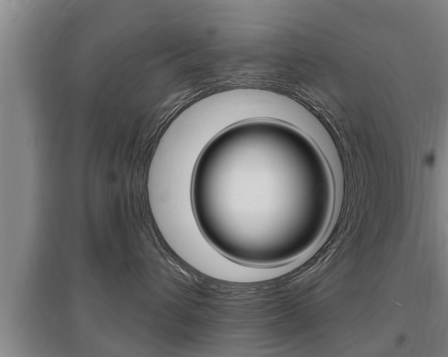 X0000095960432200801110950