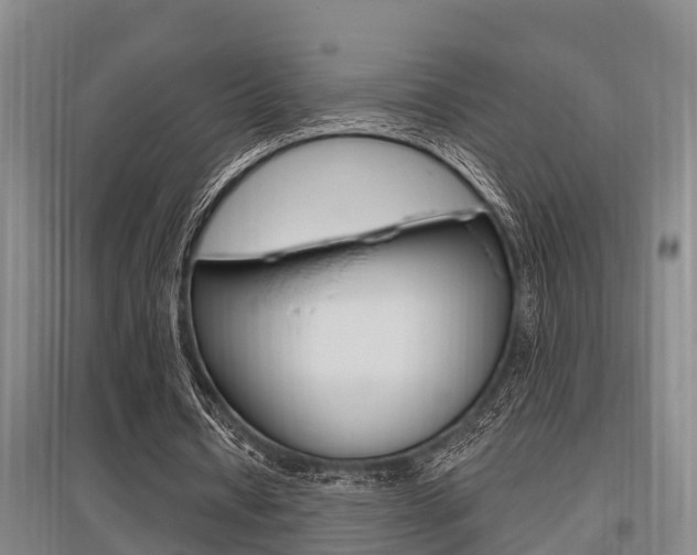 X0000095960434200801110949