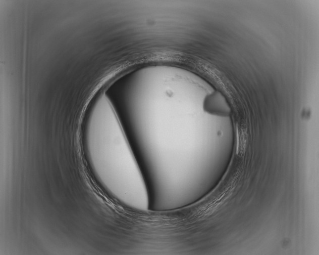 X0000095960435200801110949