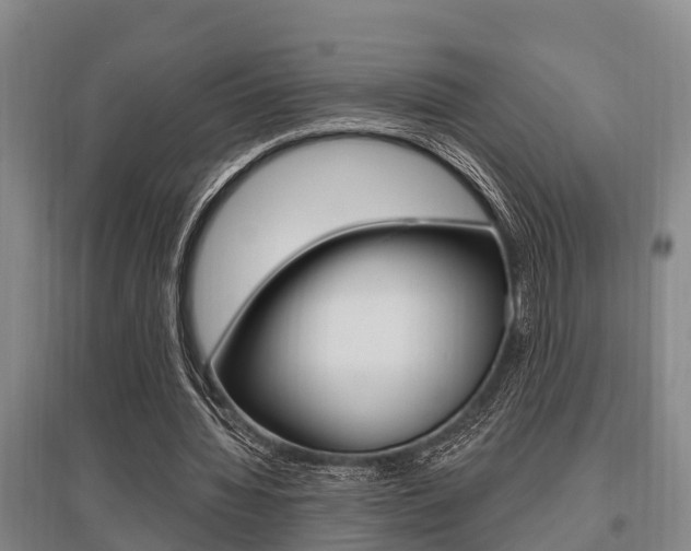 X0000095960436200801110949