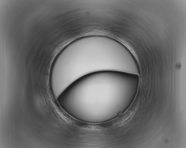 X0000095960437200801110949