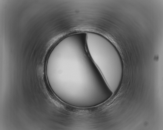 X0000095960438200801110949
