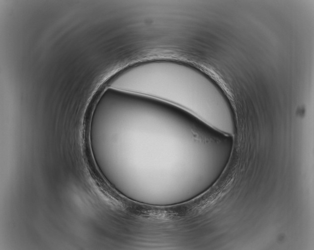 X0000095960439200801110949