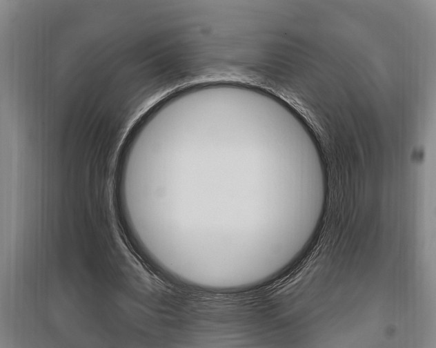 X0000095960440200801110949