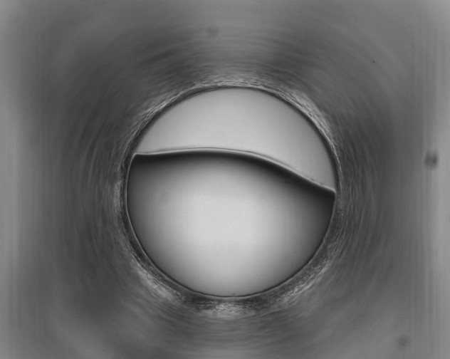 X0000095960441200801110949