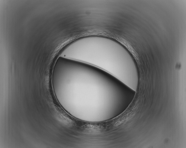 X0000095960442200801110950