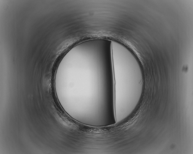 X0000095960443200801110950