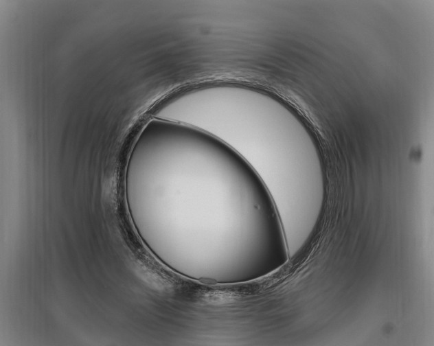 X0000095960444200801110950