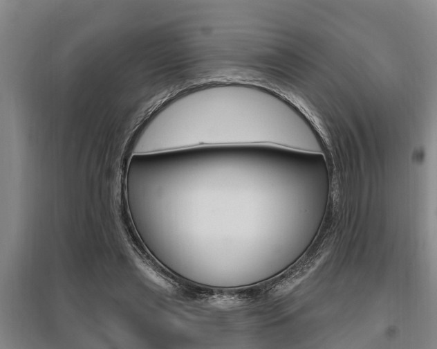 X0000095960445200801110950