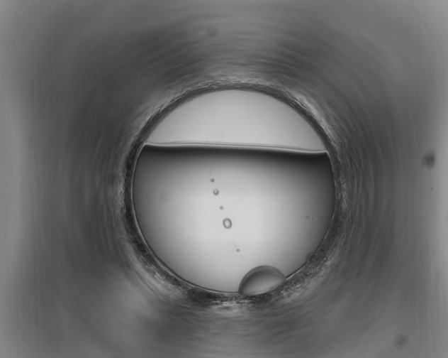 X0000095960447200801110950