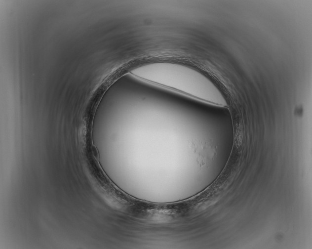X0000095960448200801110950