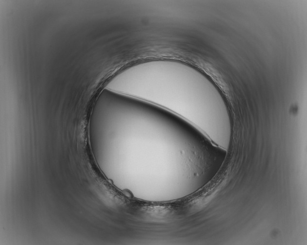 X0000095960449200801110950