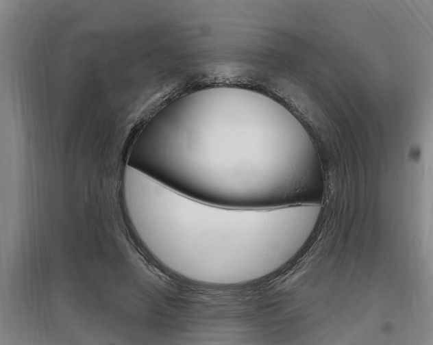 X0000095960450200801110950