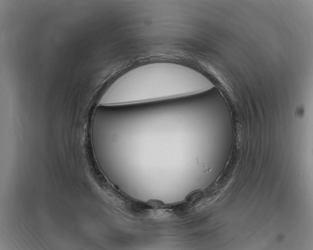 X0000095960451200801110950