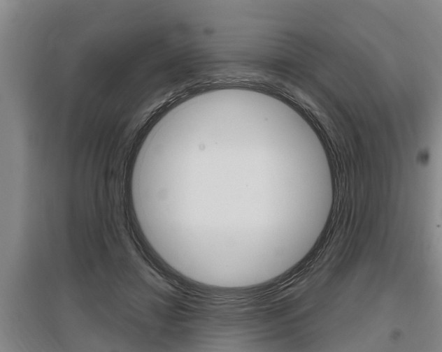 X0000095960452200801110950