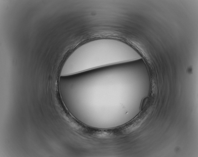 X0000095960453200801110950